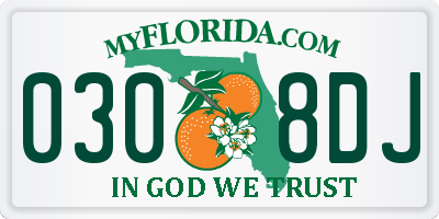 FL license plate 0308DJ
