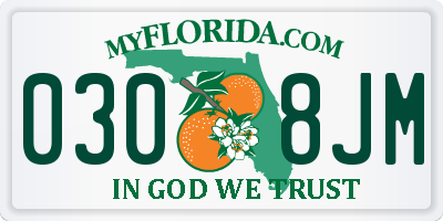 FL license plate 0308JM