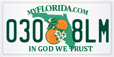 FL license plate 0308LM