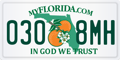 FL license plate 0308MH