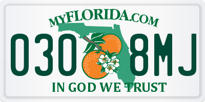 FL license plate 0308MJ