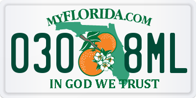 FL license plate 0308ML