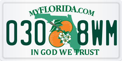 FL license plate 0308WM