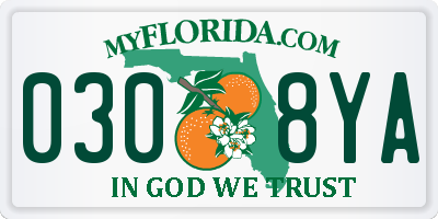 FL license plate 0308YA