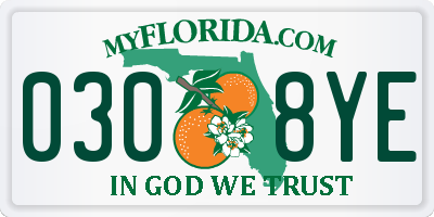 FL license plate 0308YE