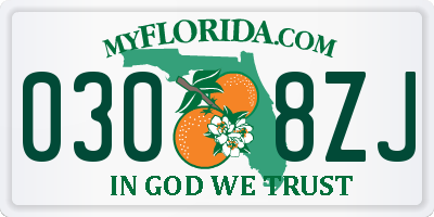 FL license plate 0308ZJ
