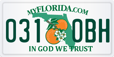 FL license plate 0310BH