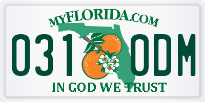 FL license plate 0310DM