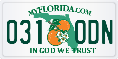 FL license plate 0310DN