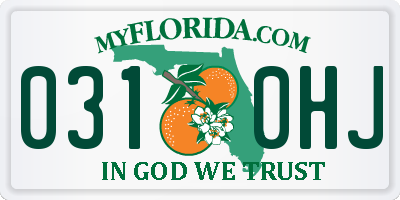 FL license plate 0310HJ