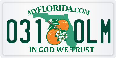FL license plate 0310LM
