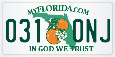 FL license plate 0310NJ