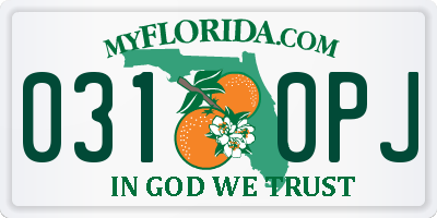 FL license plate 0310PJ