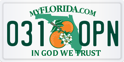 FL license plate 0310PN