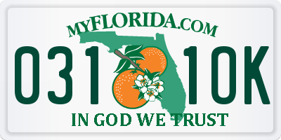FL license plate 0311OK