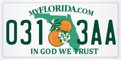 FL license plate 0313AA