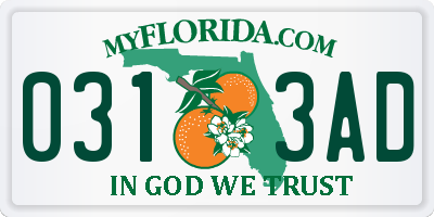FL license plate 0313AD