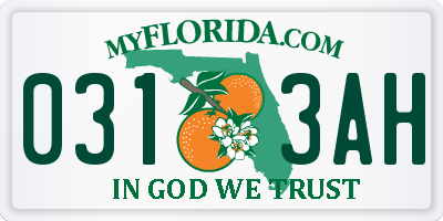 FL license plate 0313AH