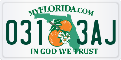 FL license plate 0313AJ