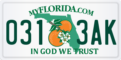 FL license plate 0313AK