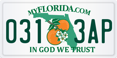 FL license plate 0313AP