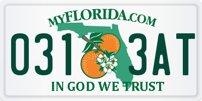 FL license plate 0313AT