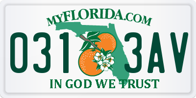 FL license plate 0313AV