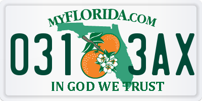 FL license plate 0313AX