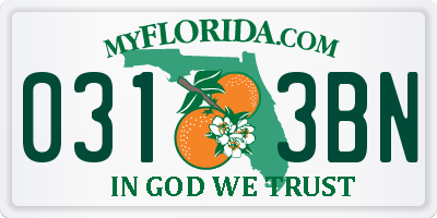 FL license plate 0313BN