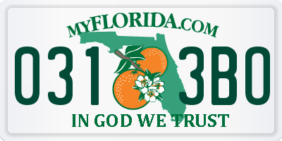 FL license plate 0313BO
