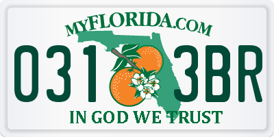 FL license plate 0313BR