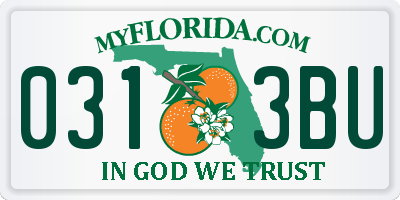 FL license plate 0313BU