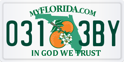 FL license plate 0313BY