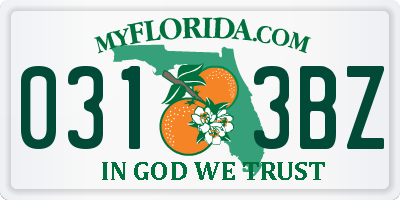 FL license plate 0313BZ