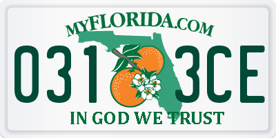 FL license plate 0313CE