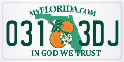 FL license plate 0313DJ