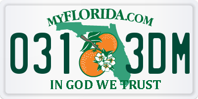FL license plate 0313DM