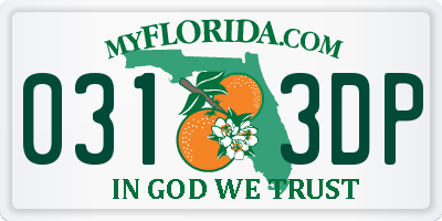 FL license plate 0313DP
