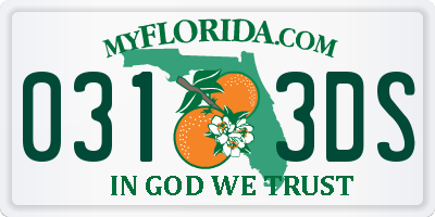 FL license plate 0313DS