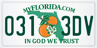 FL license plate 0313DV