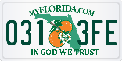 FL license plate 0313FE