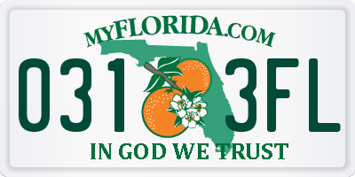 FL license plate 0313FL