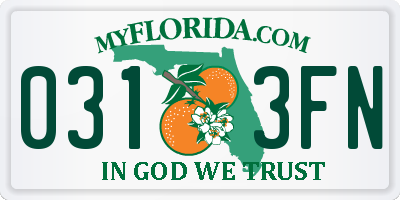 FL license plate 0313FN