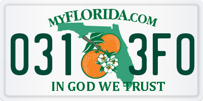 FL license plate 0313FO