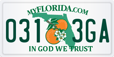FL license plate 0313GA