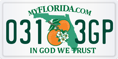 FL license plate 0313GP