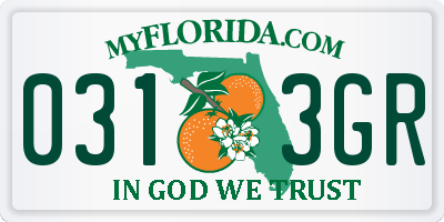 FL license plate 0313GR