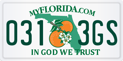 FL license plate 0313GS