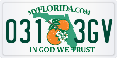 FL license plate 0313GV