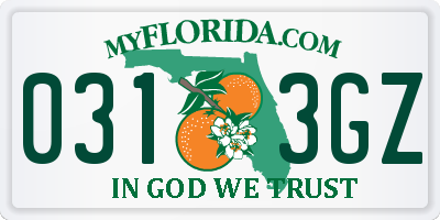 FL license plate 0313GZ